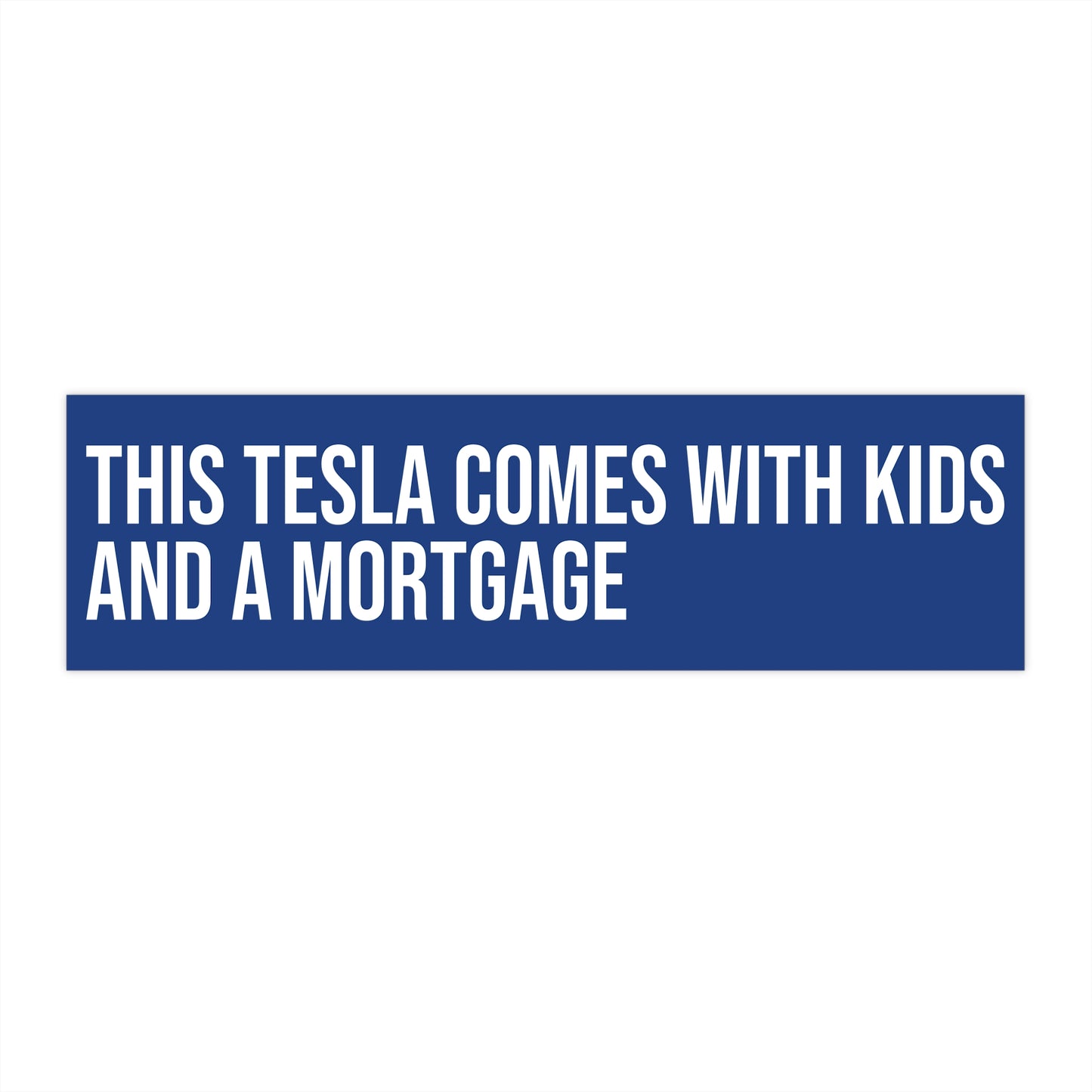 This Tesla Comes With Kids & A Mortgage
